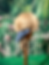 Thumbnail: Kirsten Loops Wig in Swedish Blonde 11-12” for American Girl and 18" Dolls