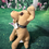 Thumbnail: Adopt Me: Taco Bell Chihuahua Talking Dog Style # 2 Toy