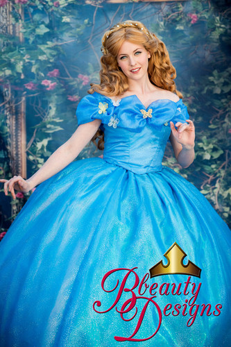 Skirt Cinderella 2015 Dress Cost Cinderella Dresses For Girls