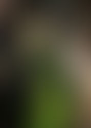 Issue 5 - Civil War / Victorian Collaboration Scarlett's Green Curtain Dress by Sata & Haykush Designs