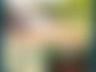 Lost Village「迷失的村莊」音樂節