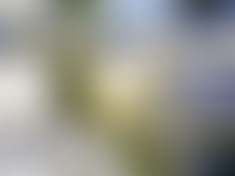 移英睇潛力 - 東倫敦極具潛力地區講座