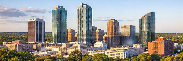 White Plains skyline