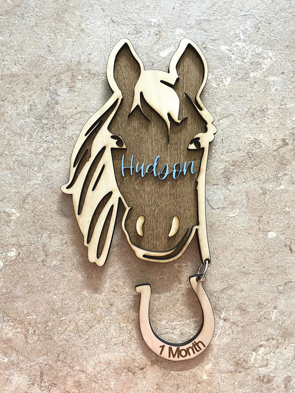 Personalized Horse Milestone Tag Sign