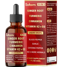 S140. Ginger-Liq_11in1_30ml_2700mg.png