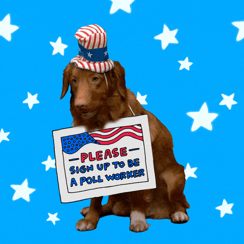 15984patriotic-dog-please-sign-be-poll-worker-signtwitter.gif