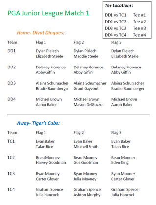 Titleist Division Match 1