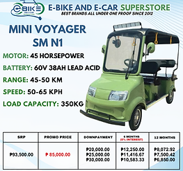 MINI VOYAGER SM N1 - (1).png