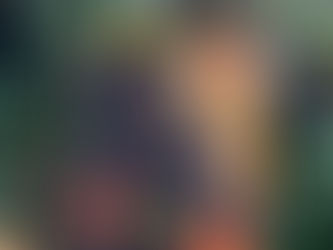 Retour de lecture : « Le masque du fou »