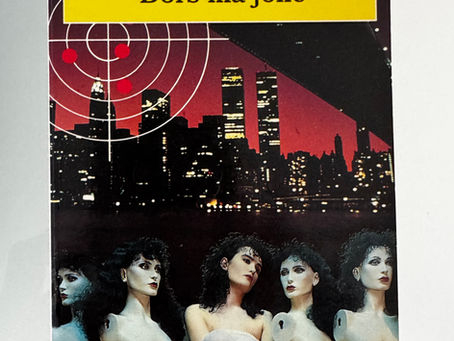 Retour de lecture : « Dors ma jolie »