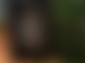 Retour de lecture : « La nature des choses »