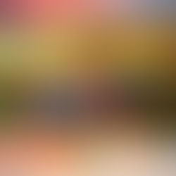 Vidovdan proglašen za praznik grada Čikaga - Vidovdan declared a holiday of the city of Chicago