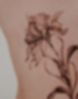 Captura de tela 2026-06-15 163603.png