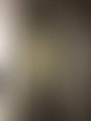 Another Huge Lake Travis Guad!