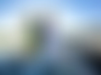 Happy New Year! January Lake Travis Fishing Report