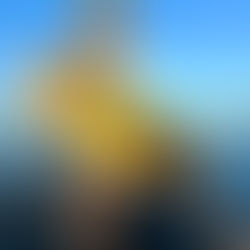 November Lake Travis Fishing Report- Fall Fishing Tips