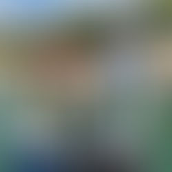 December Fishing Report- Lake Travis