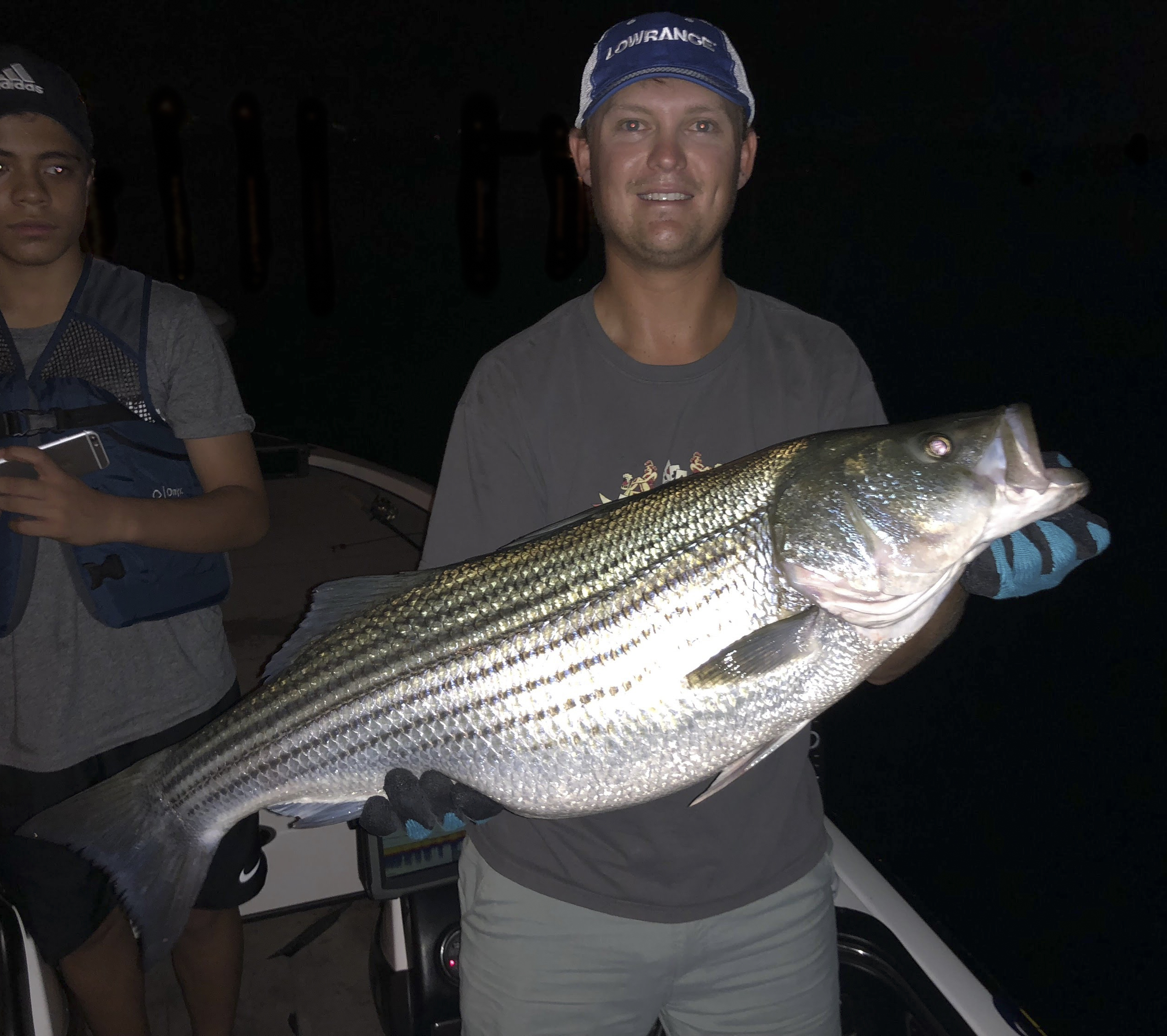 striper fish