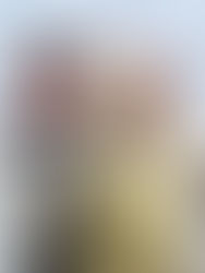 Lake Austin Bass Fishing Report - February 12, 2026