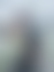 Lake Travis Bass Fishing Report- January 15, 2023