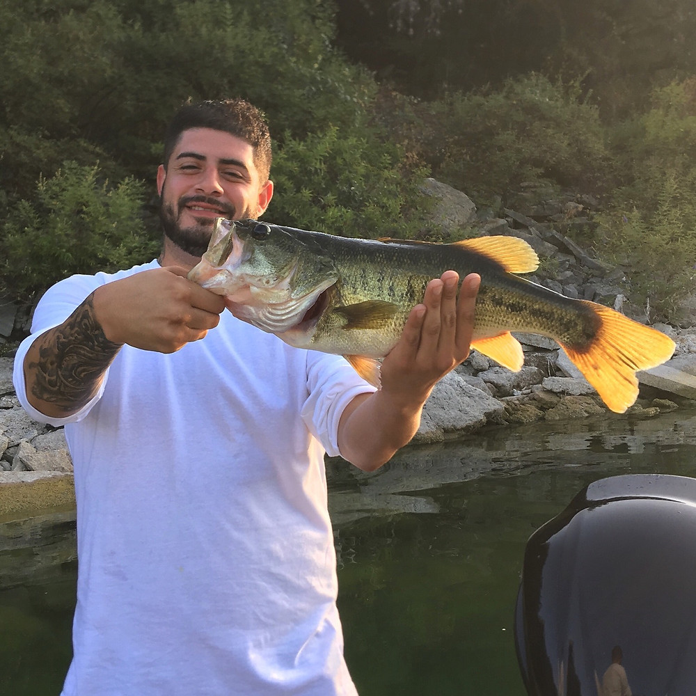 Largemouth bass from Lake Travis