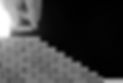 Monochrome Image Brick by Brick.jpg