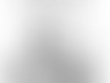 ABC du bousshidme chapitre 2 Français