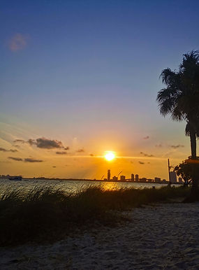 Sunset in Key Biscayne – Golden evening atmosphere with palm trees, sandy beach, tall grasses, Miami skyline and view of the ocean.