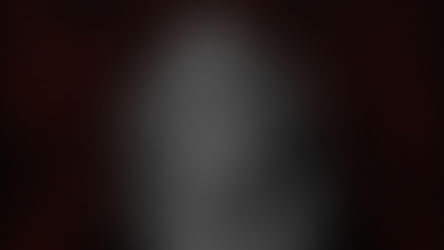 What The Experts Say II