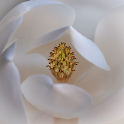 © 2020 Curtis McElhinney