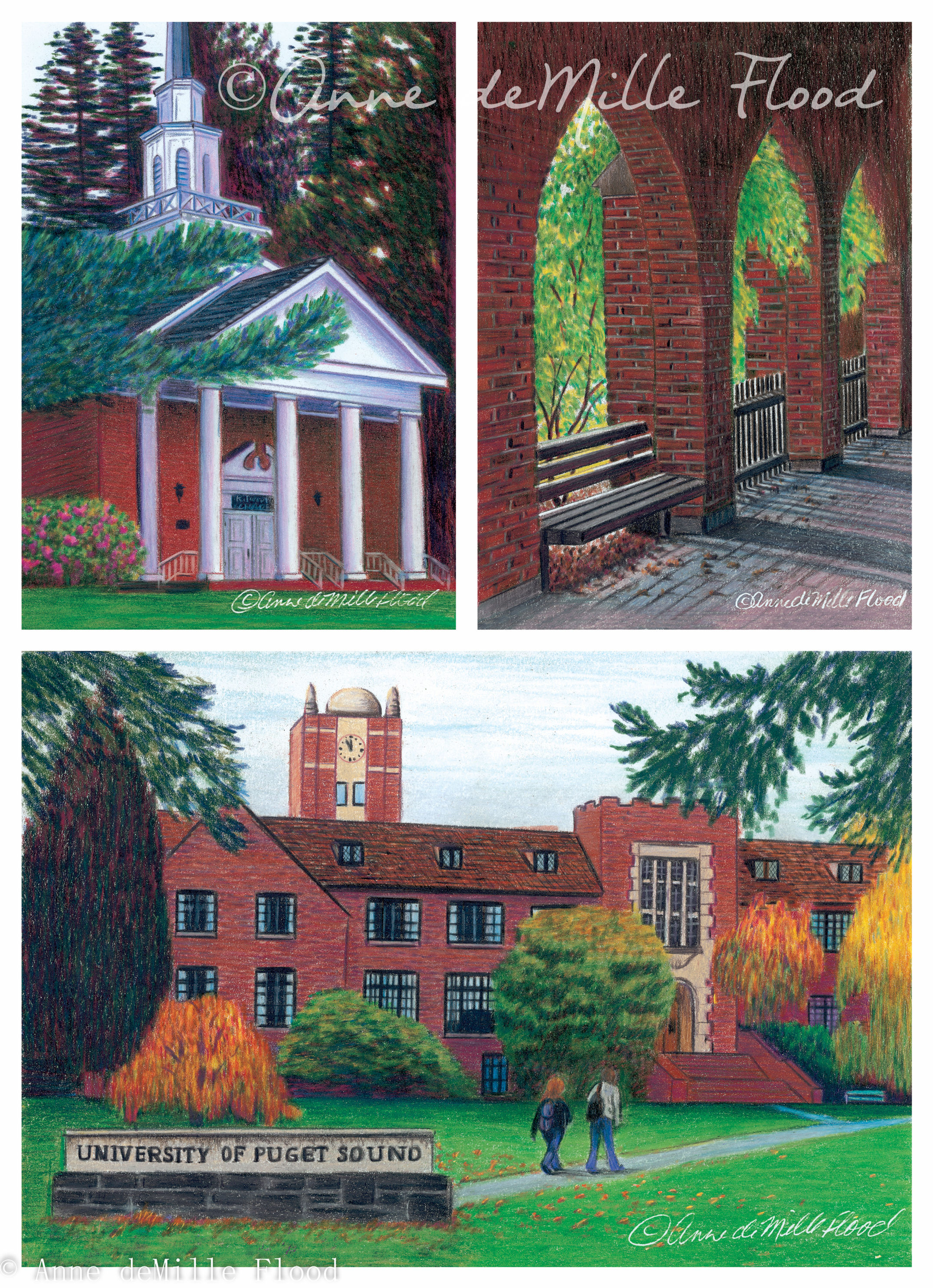 University of Puget Sound 11"x14" Matted Print