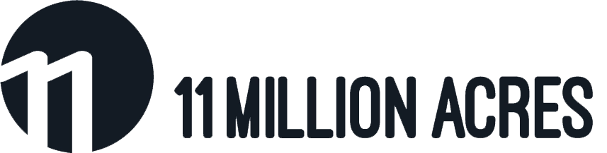 11 миллионов