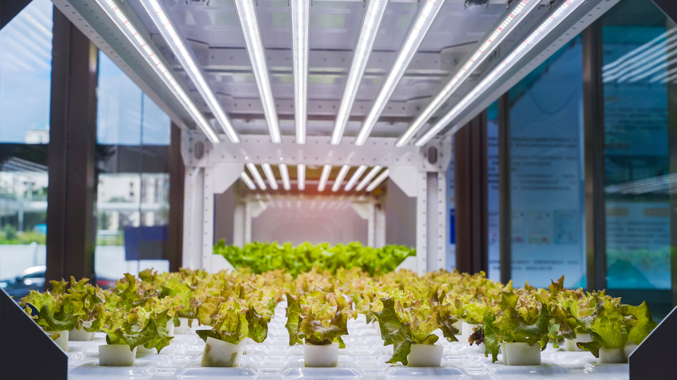 Indoor Agriculture
