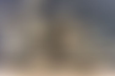 شركة مكافحة النمل الابيض بالمدينة المنورة | بيت الخليج