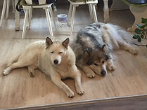 image3.jpeg