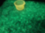 image1(2).jpeg