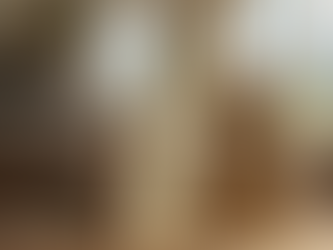 Spring Into Action with Casas Complete Your Local Experts for Home and Property Services