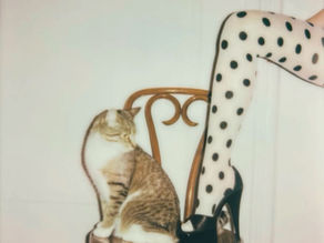 Maria’s Fall Favorites (w/pics) 🍁