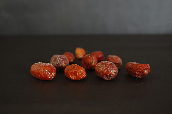 Silverberry_Ewing_Suedabeh.JPG
