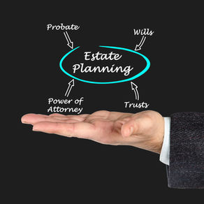  The Power of Attorney