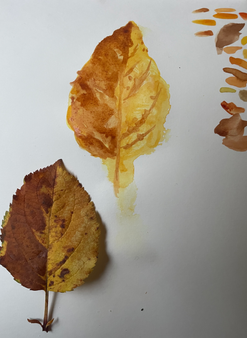 A watercolour sketch of an autumn leaf.