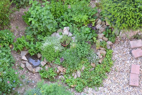 Permaculture element: Herb spiral in sum