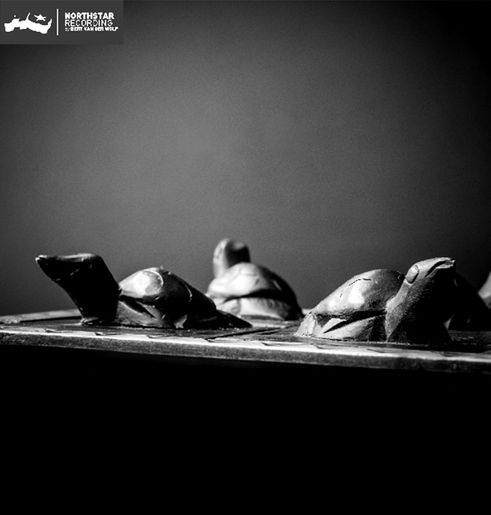 The Spirit Of Turtle