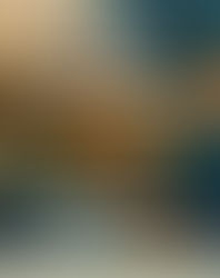 SEMINARIO ROTARY FOUNDATION ANCONA