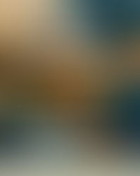 SEMINARIO ROTARY FOUNDATION ANCONA