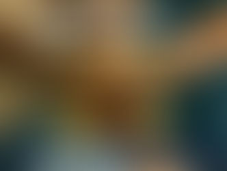 SEMINARIO ROTARY FOUNDATION ANCONA