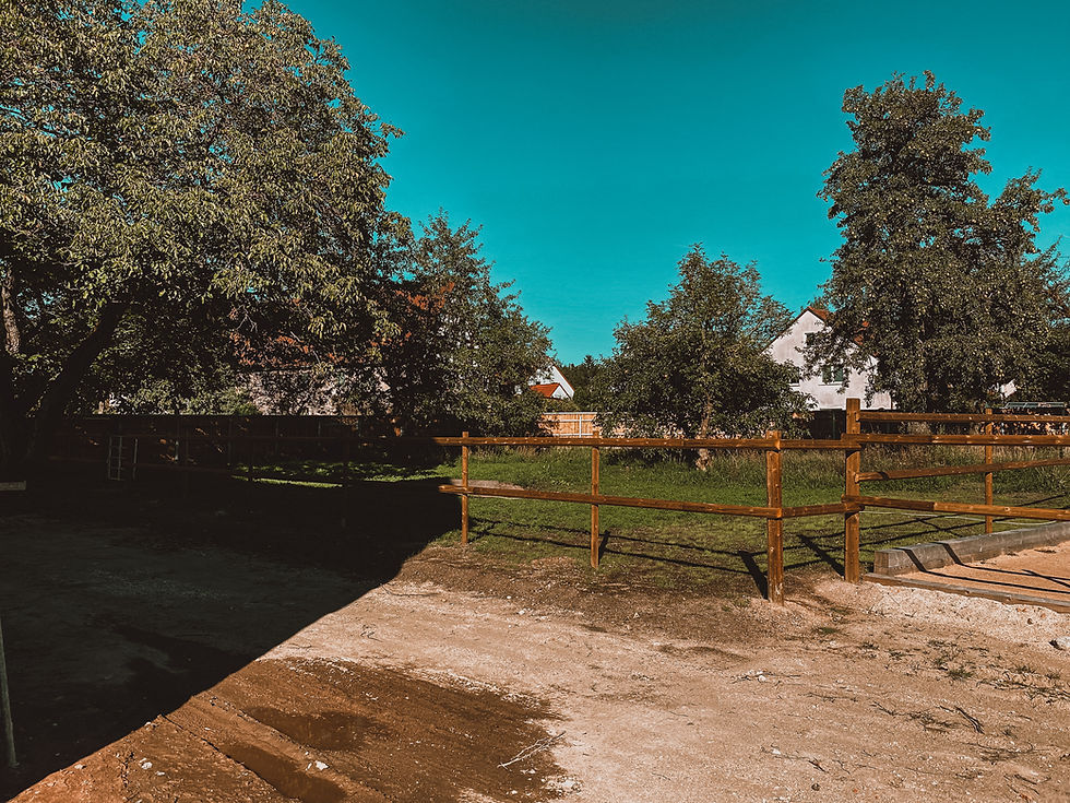 Unser Pferdewaldgarten eingezäunt (eigentlich Obstgarten. Wir haben Äpfel, Pflaumen, Vogelkirschen und Birnen. Aber für die Pferde haben wir noch weit aus mehr da hinein gepflanzt – bald mehr dazu :))