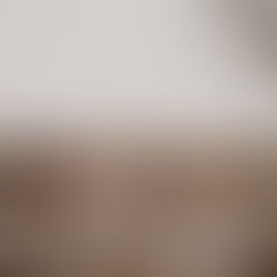 Warum soziale Dynamiken bei Pferden oft falsch als Dominanz und Rangordnung gelesen werden