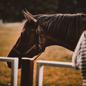 Wie kommt es zu Missverständnissen?