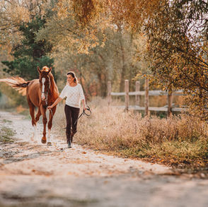 Auswirkungen von "Kontrollverhalten" im Pferdeumgang